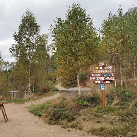 Hela Boendet Uthyres Overlida Экстерьер фото